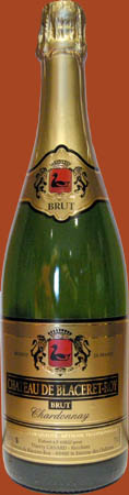 Brut de Blaceret-Roy Blanc - Château de Blaceret Roy de Thierry CANARD