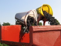 Vendanges - Vinification - 2009 - 017