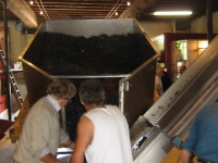 Vendanges - Vinification - 2009 - 027