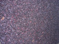 Vendanges - Vinification - 2009 - 037