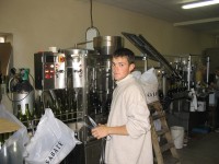 Vendanges - Vinification - 2009 - 042